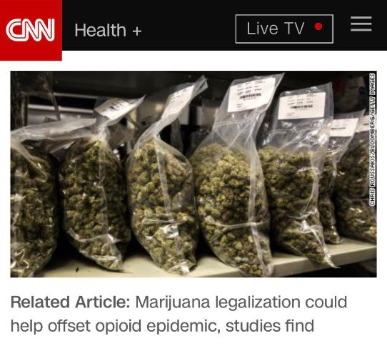 大麻！是美国鸦片危机的解药吗？