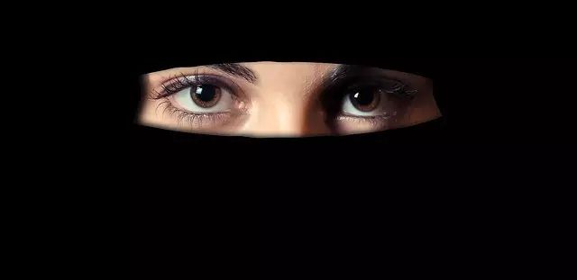穆斯林占领世界的秘密武器：女人子宫？解药来了