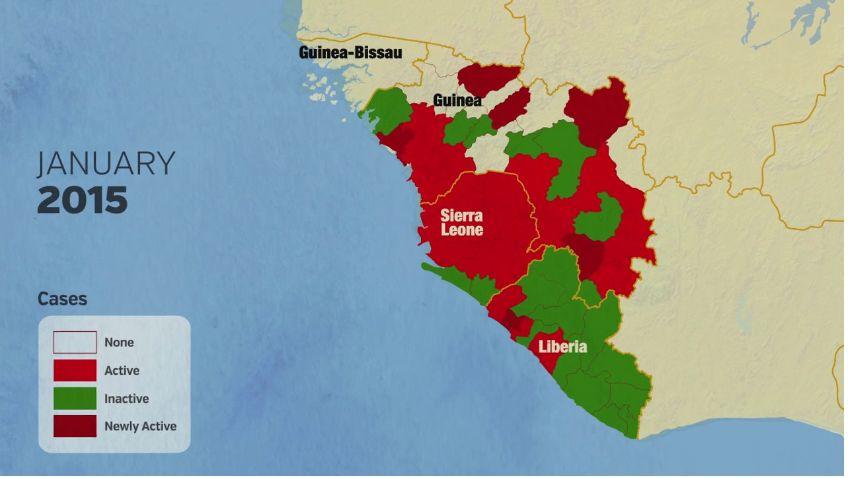 來自蝙蝠、死亡率近90%的埃博拉病毒如何被控製及瑞德西韋的來曆