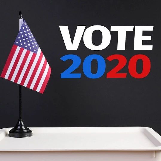 2020大选，美国华人投谁的票？| 专访