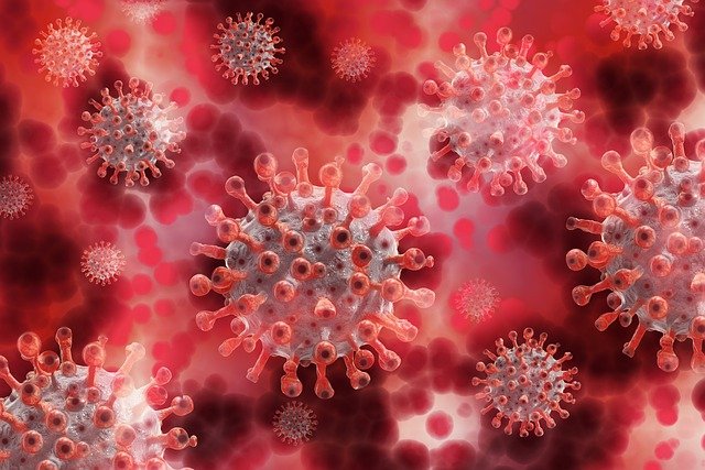 【时政大视野】第41期：新冠病毒溯源引发的争议讨论